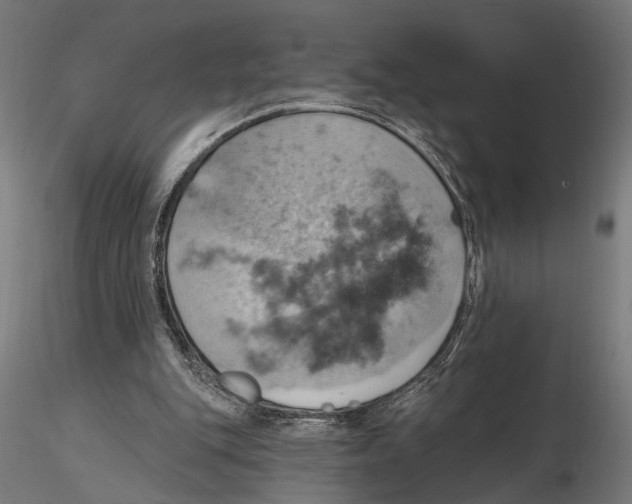 X0000115590151200912081057