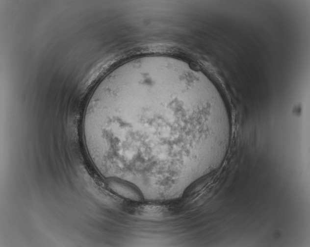 X0000115590154200912081057