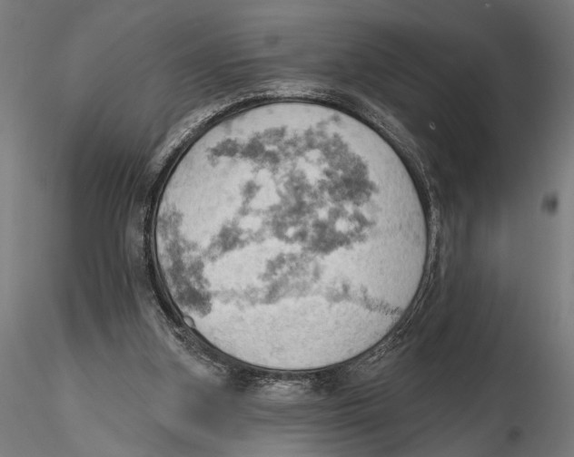 X0000115590155200912081057