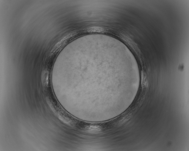 X0000115590157200912081057