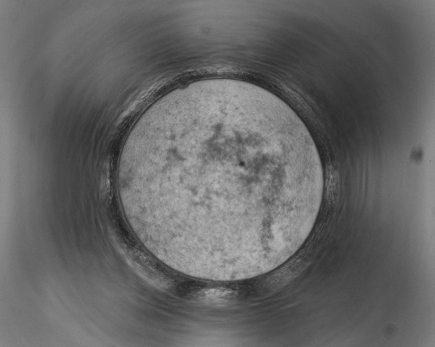 X0000115590158200912081058