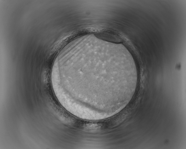 X0000115590161200912081058