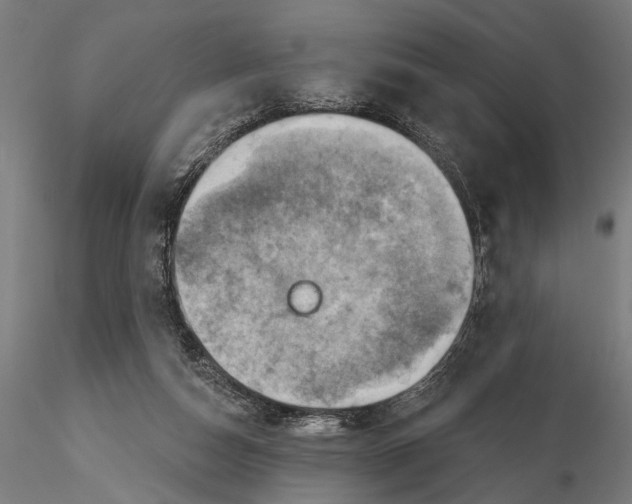 X0000115590162200912081058