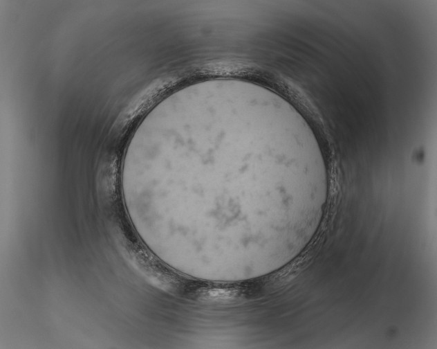 X0000115590163200912081058