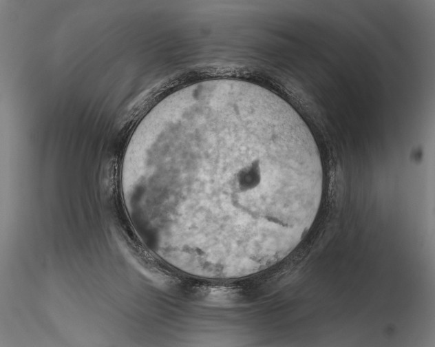 X0000115590165200912081058