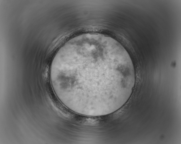 X0000115590166200912081058