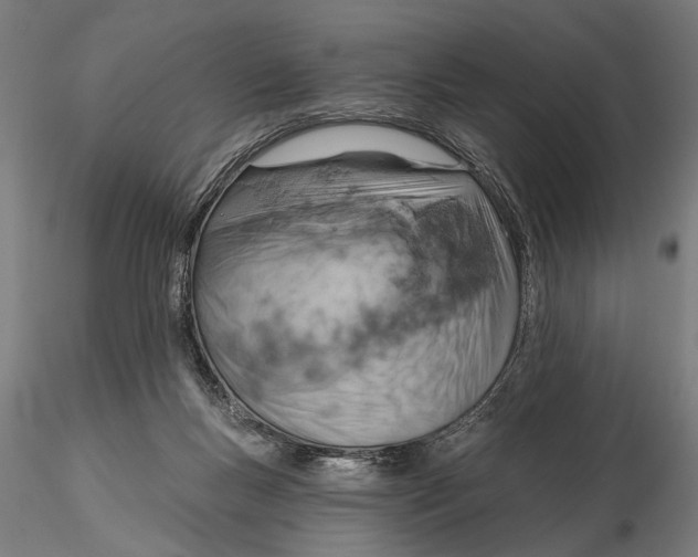 X0000115590167200912081058