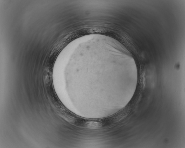 X0000115590169200912081058