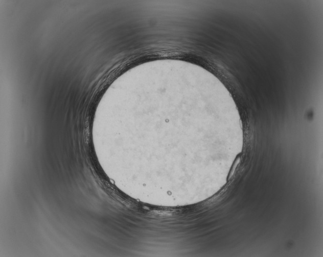X0000115590170200912081058