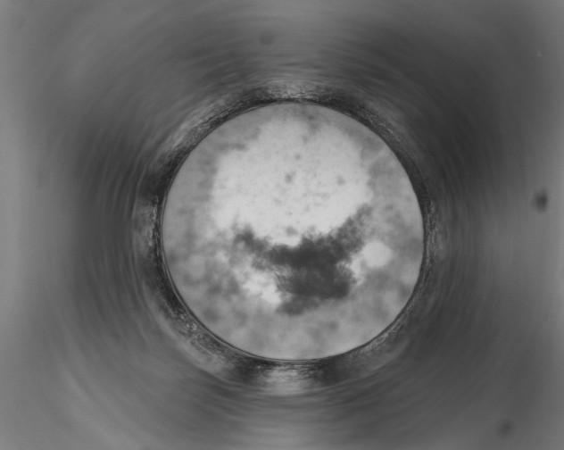 X0000115590171200912081058
