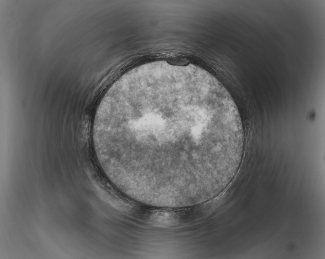 X0000115590174200912081058