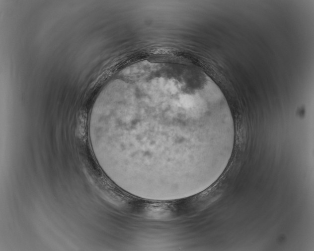 X0000115590175200912081058