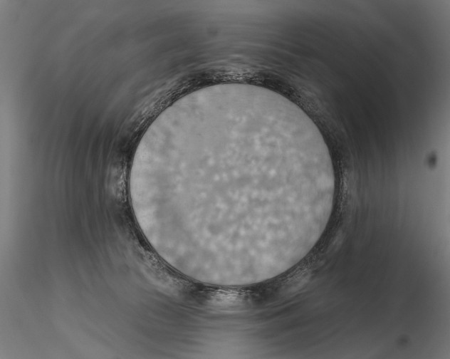 X0000115590177200912081058