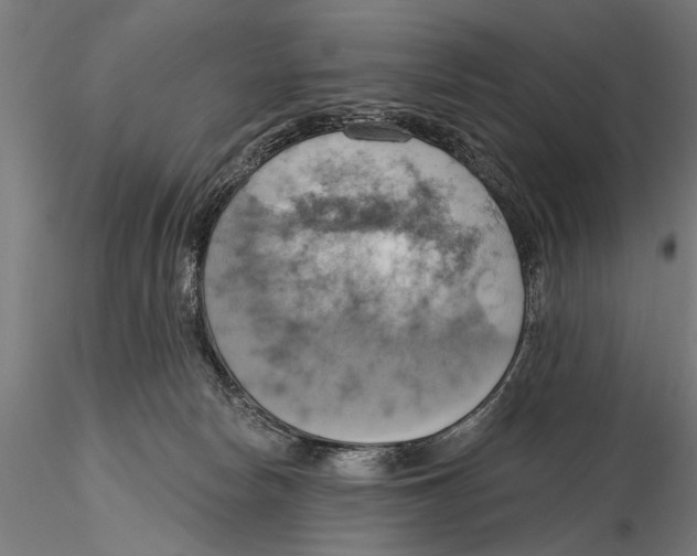 X0000115590178200912081058