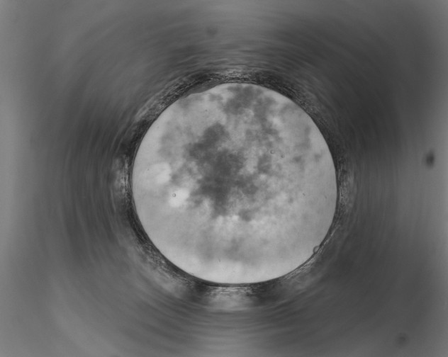 X0000115590179200912081058
