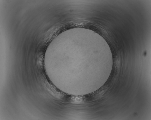 X0000115590181200912081058