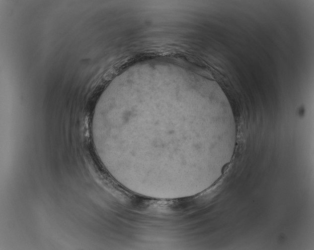 X0000115590182200912081058
