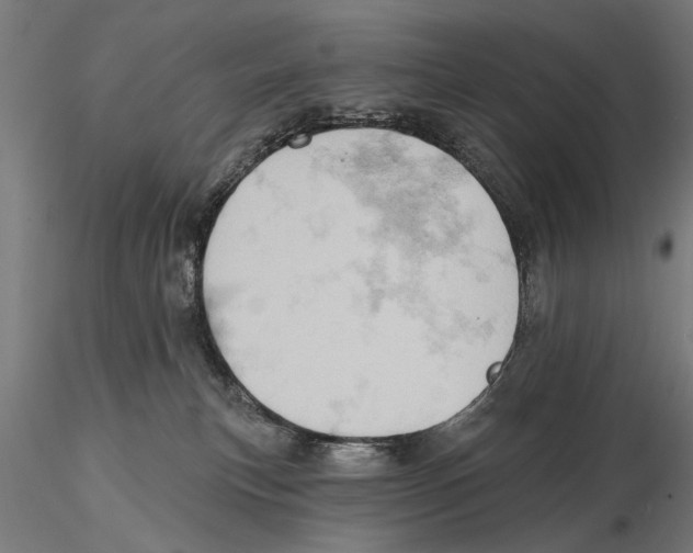 X0000115590183200912081058
