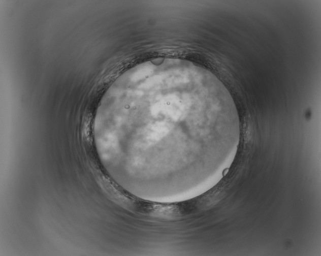 X0000115590185200912081058