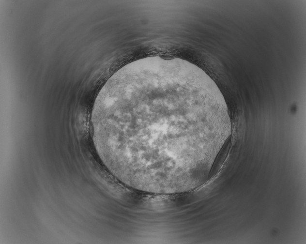 X0000115590186200912081058