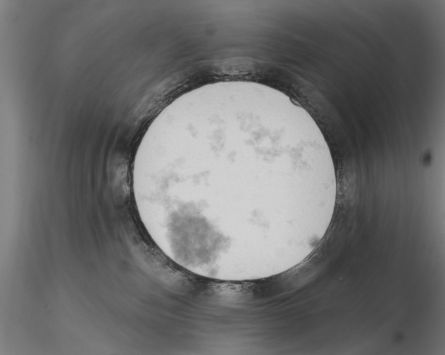 X0000115590187200912081058
