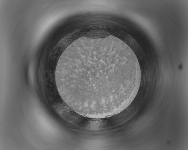 X0000115590189200912081058