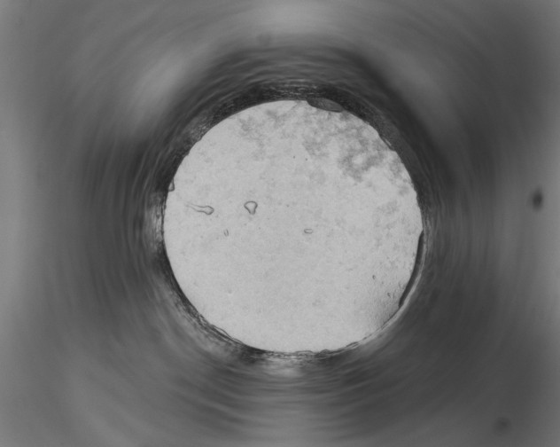 X0000115590190200912081058