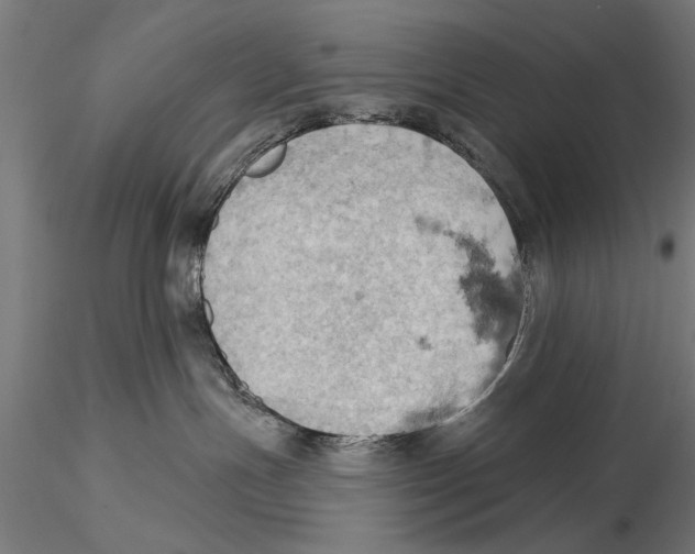 X0000115590191200912081058