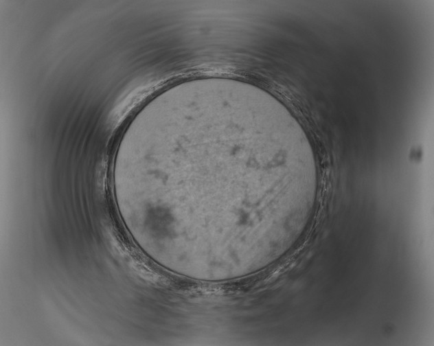 X0000115590194200912081057