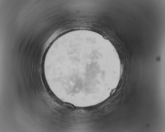 X0000115590195200912081057
