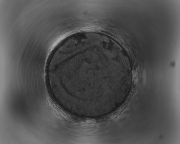 X0000115590196200912081057