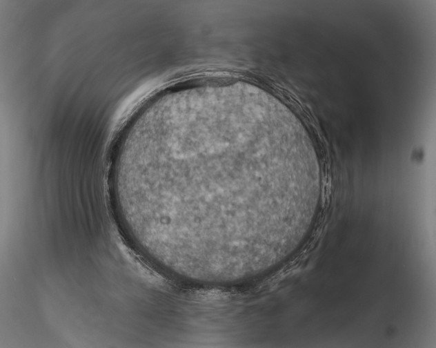X0000115590197200912081057