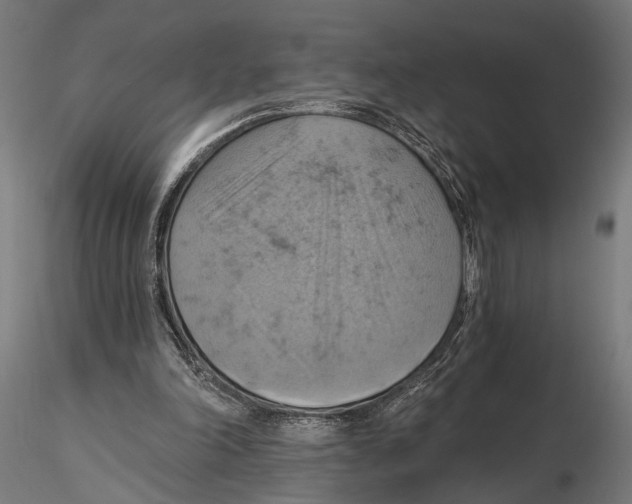 X0000115590198200912081057