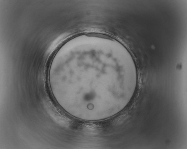 X0000115590199200912081057