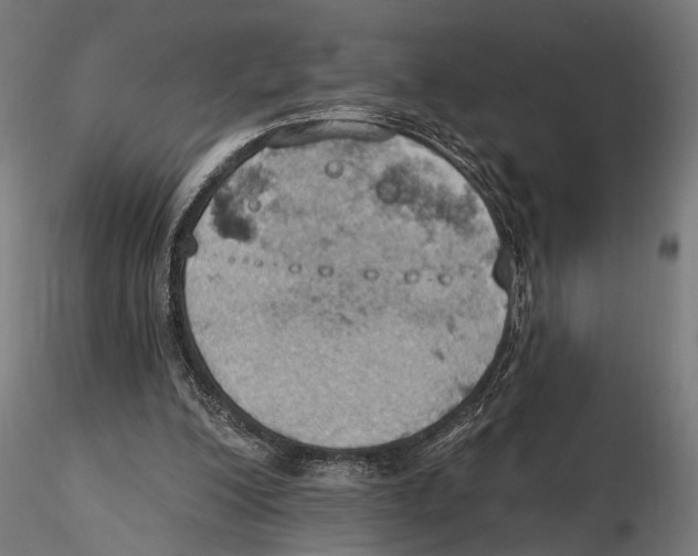 X0000115590200200912081057