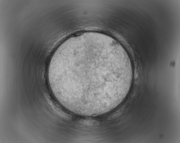 X0000115590201200912081057