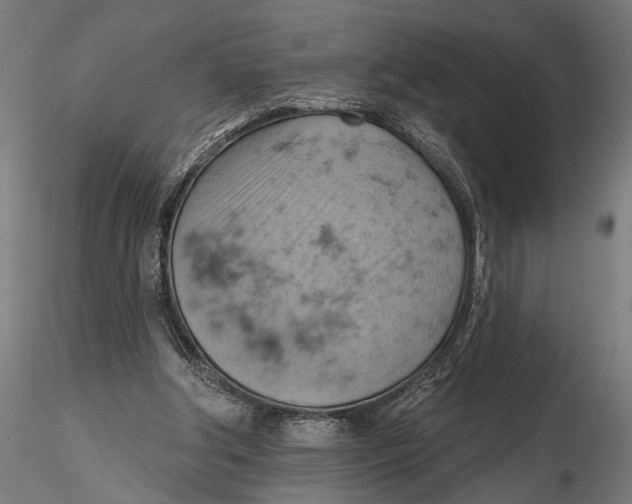 X0000115590202200912081057
