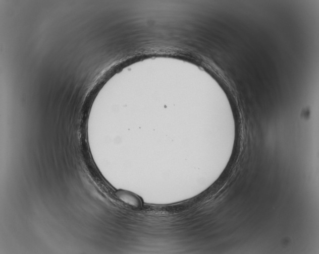 X0000115590203200912081057