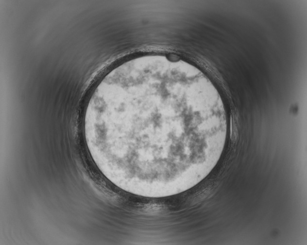 X0000115590204200912081057