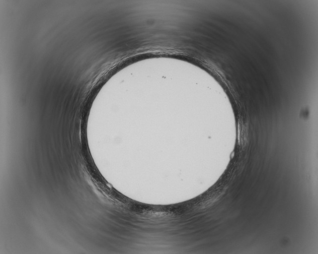 X0000115590205200912081057