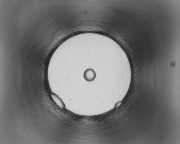 X0000115590207200912081057