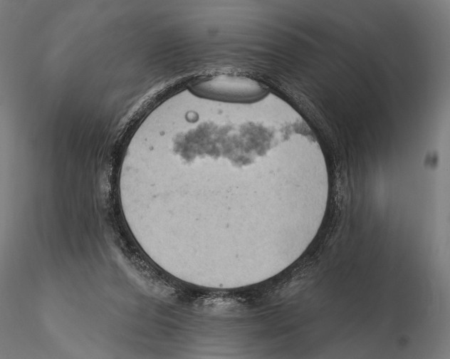 X0000115590208200912081057