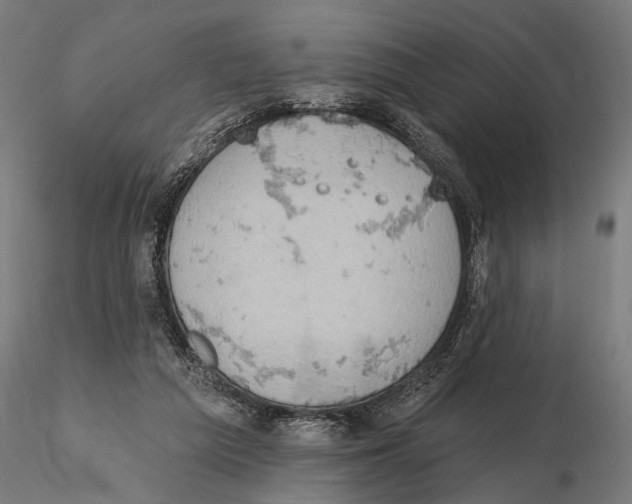 X0000115590209200912081057