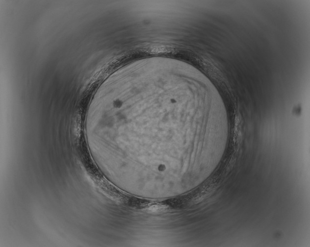 X0000115590210200912081057
