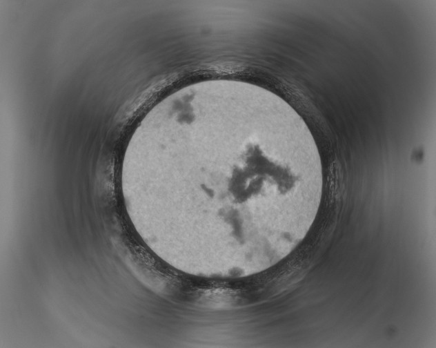X0000115590212200912081057