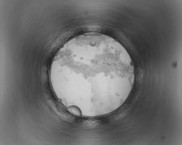 X0000115590213200912081057