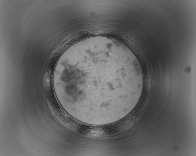 X0000115590214200912081057