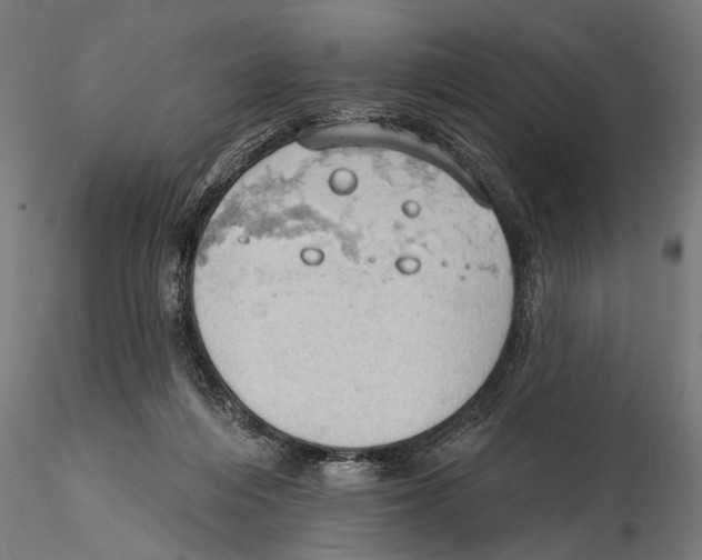 X0000115590216200912081057