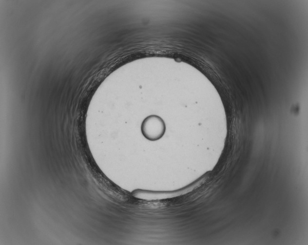 X0000115590217200912081057