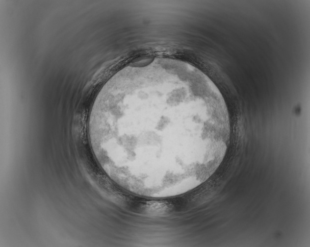 X0000115590218200912081057